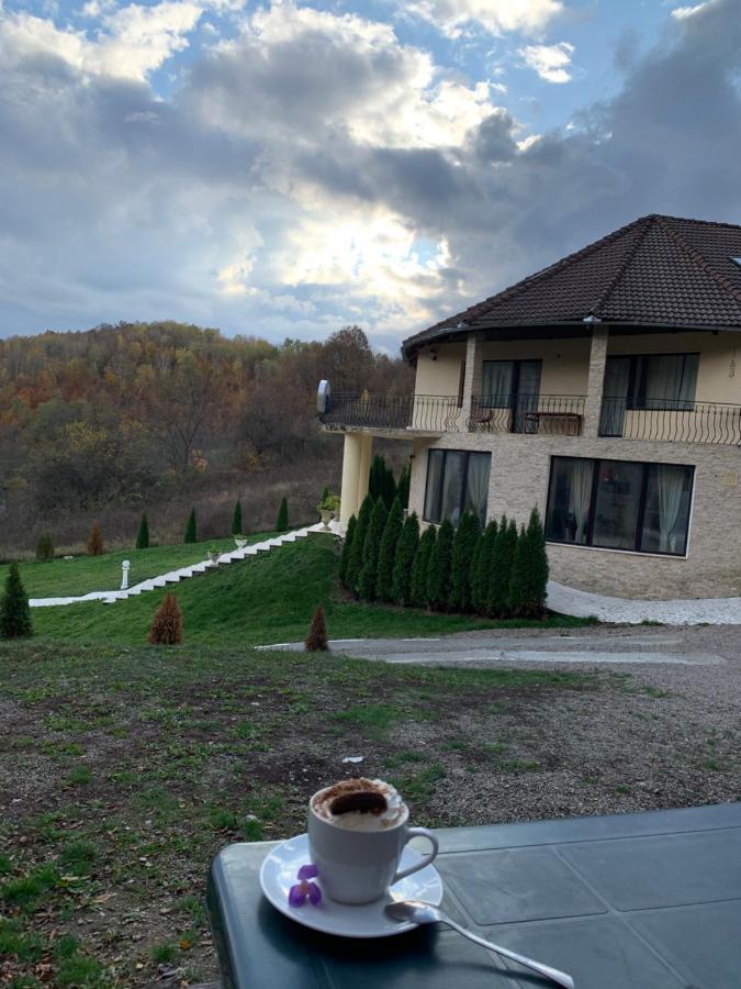 Hotel Pensiunea Medeea Pestis Esterno foto